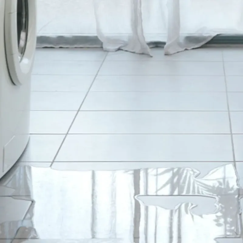 Appliance Leak Cleanup in Toledo, IL