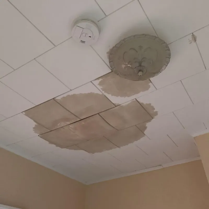 Ceiling Water Damage Repair in Toledo, IL
