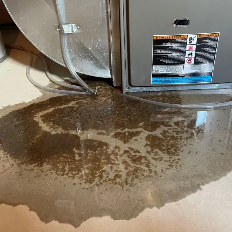 Pipe Burst and Leak Restoration in Toledo, IL