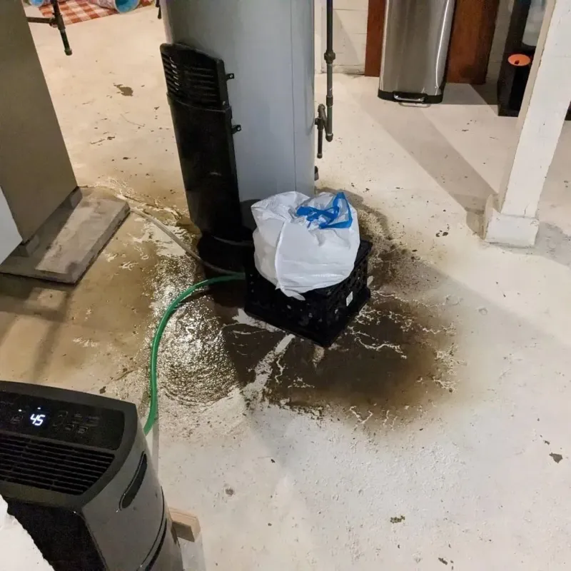 Sewage Backup Cleanup Service in Toledo, IL